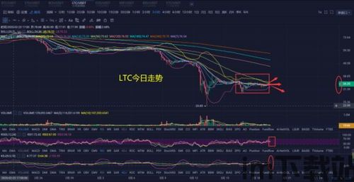 2019星河区块链,五粮液连续19年入选亚洲品牌500强(图12)