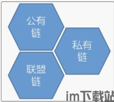 100种区块链公有链,100种区块链(图8)