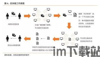 100种区块链公有链,100种区块链(图12)