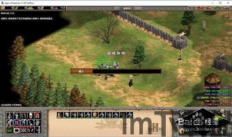 帝国时代ii:国王时代 评测,游戏背景与设定(图3) 帝国时代ii:国王时代 评测,游戏背景与设定(图3)