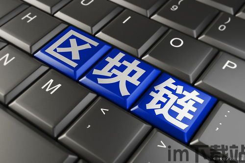 12.4区块链,未来数字世界的基石(图4)