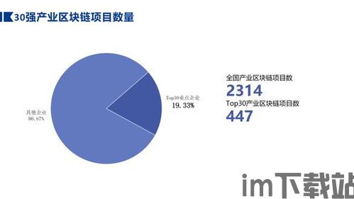 109区块链,重塑未来经济的基石(图3)