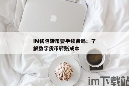 im钱包转币要手续费吗,了解转账成本(图1)