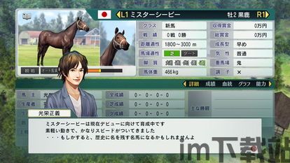 赛马大亨8 2014年(图3)