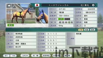 赛马大亨8 2014年(图4)