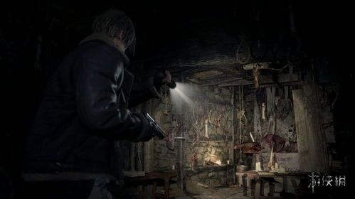 生化危机4重制版无障碍功能,生化危机4重制版无障碍功能全面解析(图7) 生化危机4重制版无障碍功能,生化危机4重制版无障碍功能全面解析(图7)