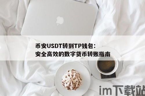 币安转到钱包的USDT,币安转账至钱包的USDT操作指南(图1)