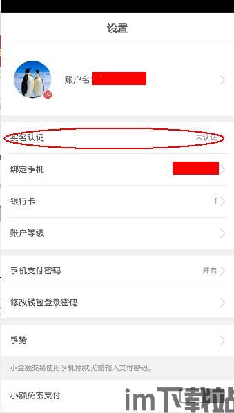 什么钱包usdt不需要实名认证,无需实名认证，轻松使用USDT钱包的解决方案(图1)