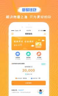 易钱包下载,易钱包APP下载指南——便捷支付，尽在掌握(图2)