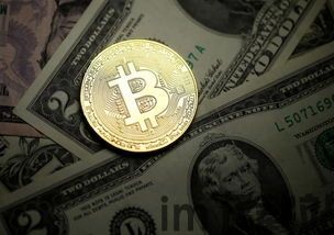 比特币优势,为何成为投资者的新宠?(图10) 比特币优势,为何成为投资者的新宠?(图10)