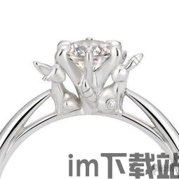 宝可梦珠宝,精灵宝可梦官网中文官网(图9)