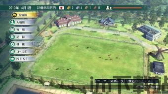 赛马大亨8建设攻略,打造你的赛马帝国(图3)