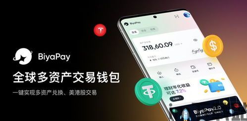 Usdt兑换钱包,什么是USDT？(图9)