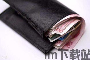 usdt属于哪种钱包,USDT属于哪种钱包?深入了解Tether币的存储方式(图13) usdt属于哪种钱包,USDT属于哪种钱包?深入了解Tether币的存储方式(图13)