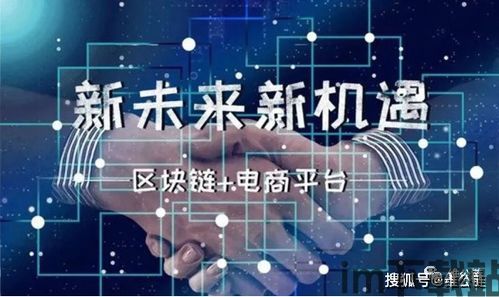 《区块链之新 》,从数字货币到全新基础设施(图4)