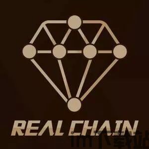 360区块链realchain,引领数字货币新潮流(图3)