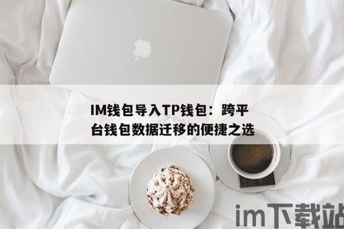 tp钱包怎么导入钱包,TP钱包导入钱包指南(图9)