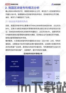 300541区块链专利,创新驱动下的产业变革(图3)