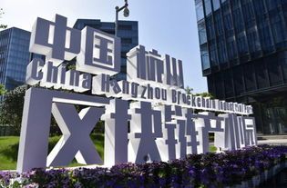 100亿杭州区块链,杭州区块链(图5)