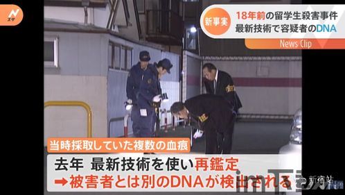 未解决的案件下载,探索悬疑世界的秘密通道(图3) 未解决的案件下载,探索悬疑世界的秘密通道(图3)