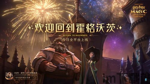 哈里波特:魔法觉醒 游戏介绍,游戏概述(图5)
