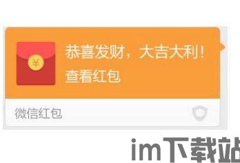 火币钱包usdt怎么转不出来,火币钱包USDT转账不出来的常见原因及解决方法(图9)