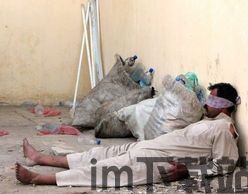 揭秘 死亡,探寻生命终结的真相(图3) 揭秘 死亡,探寻生命终结的真相(图3)