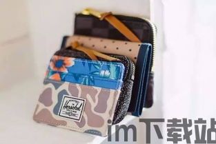 加拿大usdt钱包,安全、便捷的数字货币存储选择(图3) 加拿大usdt钱包,安全、便捷的数字货币存储选择(图3)
