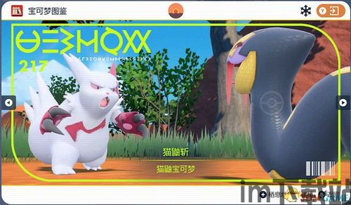 宝可梦xy 3dm,宝可梦官网中文官网(图10)