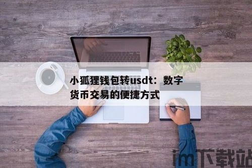 小狐狸钱包里usd和usdt,使用指南与注意事项(图1)