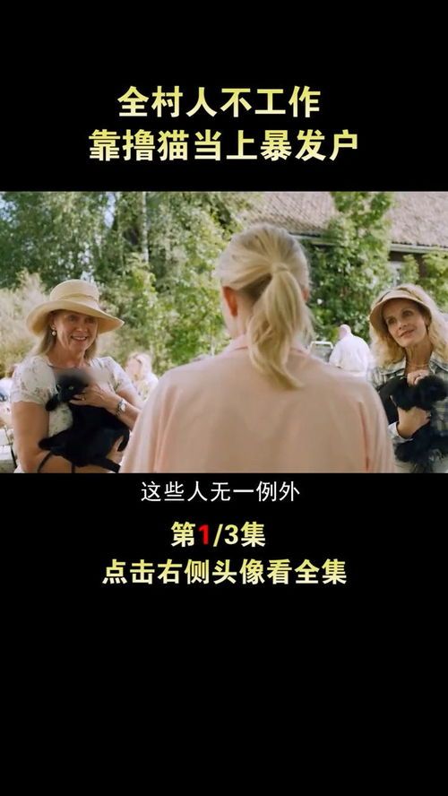 神给愿望穿越电影,电影简介(图6)