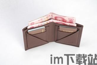usdt钱包详解,USDT钱包概述(图4) usdt钱包详解,USDT钱包概述(图4)