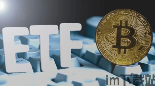 比特币信托,加密货币投资的新选择(图5) 比特币信托,加密货币投资的新选择(图5)
