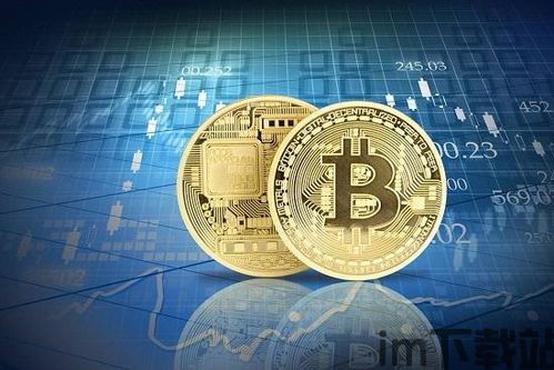 比特币开发,比特币的发展历程与未来展望(图3)