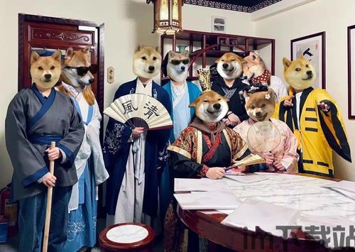 谋杀、cosplay、灵魂转换,谋杀、Cosplay与灵魂转换的跨界融合(图1) 谋杀、cosplay、灵魂转换,谋杀、Cosplay与灵魂转换的跨界融合(图1)