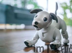 可爱猫机器人 分享卡片,可爱猫机器人——你的微信生活好帮手(图3) 可爱猫机器人 分享卡片,可爱猫机器人——你的微信生活好帮手(图3)