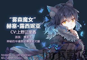 灵之秘境异象残影,游戏简介(图5) 灵之秘境异象残影,游戏简介(图5)