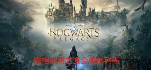 霍格沃茨之遗视野什么意思,探索魔法世界的全新视角(图6) 霍格沃茨之遗视野什么意思,探索魔法世界的全新视角(图6)
