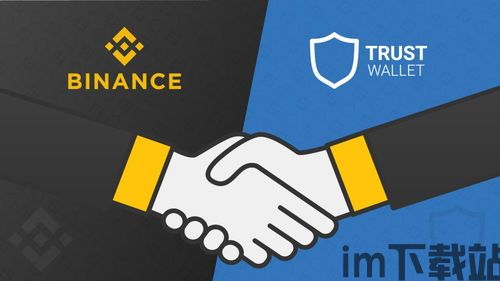 trust钱包没有usdt,Trust Wallet为何没有显示USDT?全面解析及解决方案(图5) trust钱包没有usdt,Trust Wallet为何没有显示USDT?全面解析及解决方案(图5)