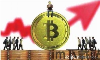 为什么比特币会大涨,比特币大涨背后的原因分析(图7) 为什么比特币会大涨,比特币大涨背后的原因分析(图7)
