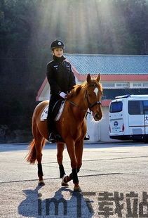 完蛋我被美女包围了安卓版(图1) 完蛋我被美女包围了安卓版(图1)