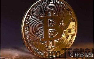 比特币神器,揭秘比特币挖矿与定投的赚钱之道(图1) 比特币神器,揭秘比特币挖矿与定投的赚钱之道(图1)