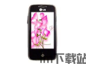手机.gs,智能生活的新伙伴(图2)