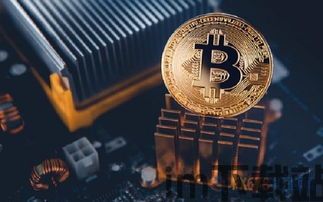 比特币要,数字货币的未来还是泡沫的幻影?(图3) 比特币要,数字货币的未来还是泡沫的幻影?(图3)