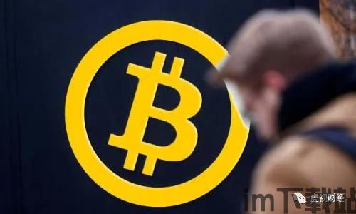 比特币要,数字货币的未来还是泡沫的幻影?(图4) 比特币要,数字货币的未来还是泡沫的幻影?(图4)