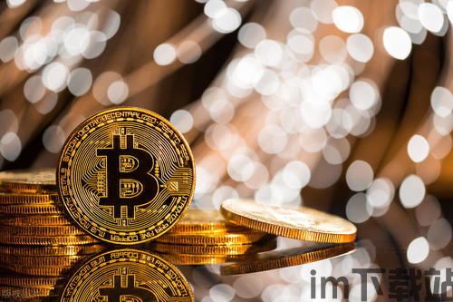 比特币公链,技术革新与投资机遇(图4)