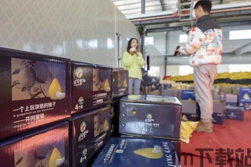 000061区块链,000061股吧东方财富网(图1) 000061区块链,000061股吧东方财富网(图1)