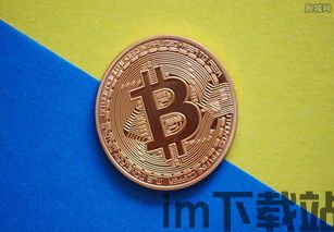 比特币被套,投资者如何应对市场波动(图1) 比特币被套,投资者如何应对市场波动(图1)