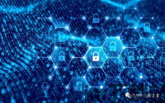 10月24号区块链(图5) 10月24号区块链(图5)