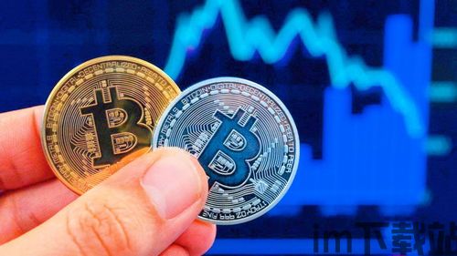 比特币最多,谁拥有最多的比特币？(图3)